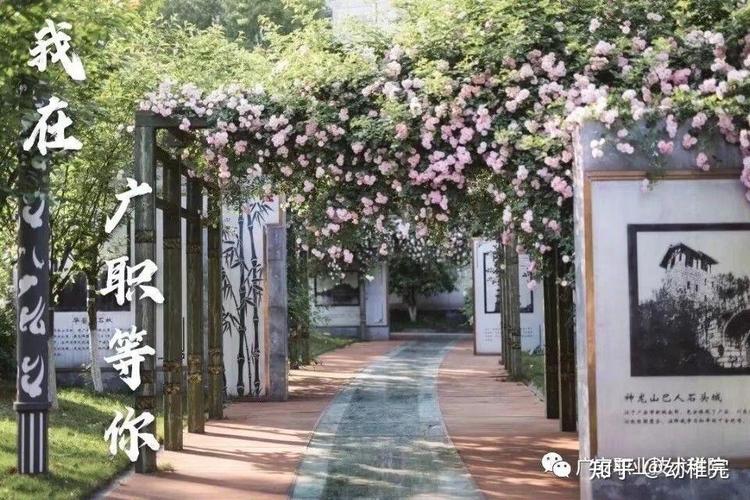 广安职业技术学院有哪些?广安职业技术学院有哪些专业排名第一?-第5张图片-职教招生网 广安职业技术学院有哪些?广安职业技术学院有哪些专业排名第一?-第5张图片-职教招生网