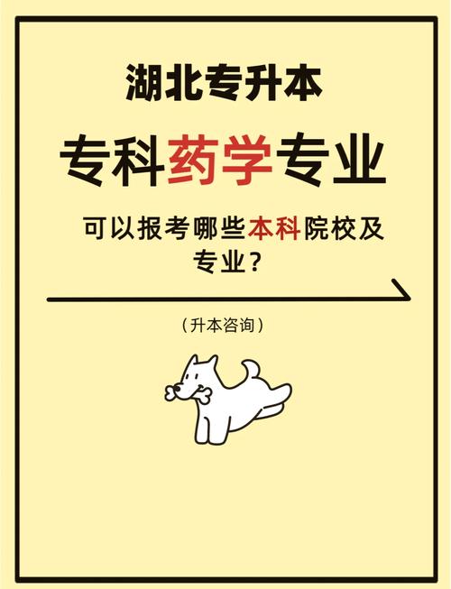 中职药剂专业就业,中职药剂专业就业前景怎么样?-第6张图片-职教招生网 中职药剂专业就业,中职药剂专业就业前景怎么样?-第6张图片-职教招生网