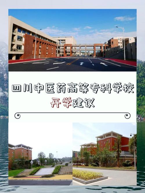 内江医科学校2024录取分数线,2020年内江医科学校录取线-第5张图片-职教招生网 内江医科学校2024录取分数线,2020年内江医科学校录取线-第5张图片-职教招生网