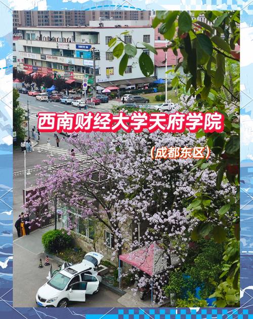 西南财经绵阳学院,西南财经绵阳学院教师工资待遇?-第2张图片-职教招生网 西南财经绵阳学院,西南财经绵阳学院教师工资待遇?-第2张图片-职教招生网
