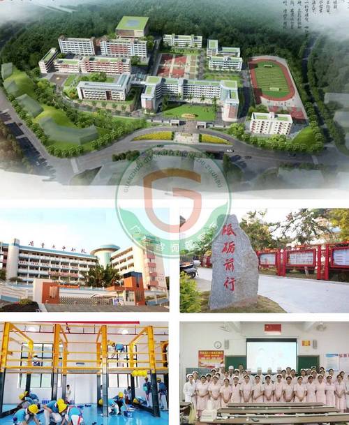 肇庆职业中学，肇庆职业中学有哪些？-第3张图片-职教招生网