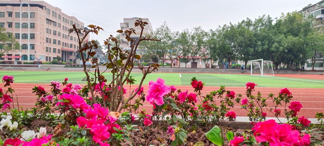 四川简阳市中专学校,简阳中职学校?-第6张图片-职教招生网 四川简阳市中专学校,简阳中职学校?-第6张图片-职教招生网