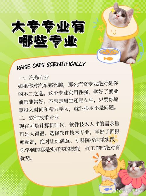 大专助产,大专助产进大医院难吗-第4张图片-职教招生网 大专助产,大专助产进大医院难吗-第4张图片-职教招生网
