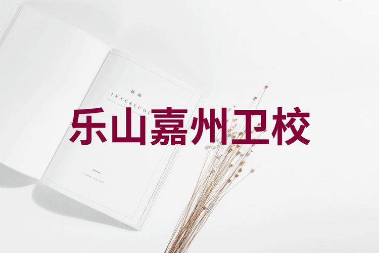 乐山哪个卫校,四川乐山有几所卫校-第2张图片-职教招生网 乐山哪个卫校,四川乐山有几所卫校-第2张图片-职教招生网
