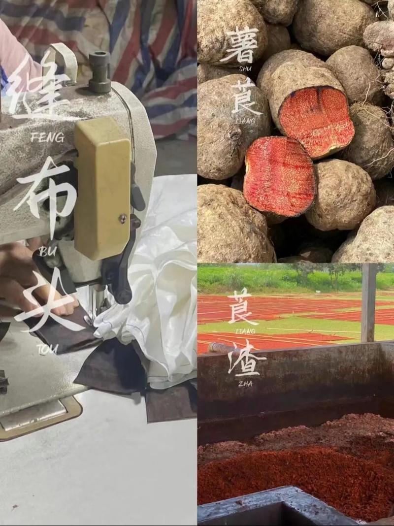 服装设计比较好的三个专业，服装设计专业咋样？