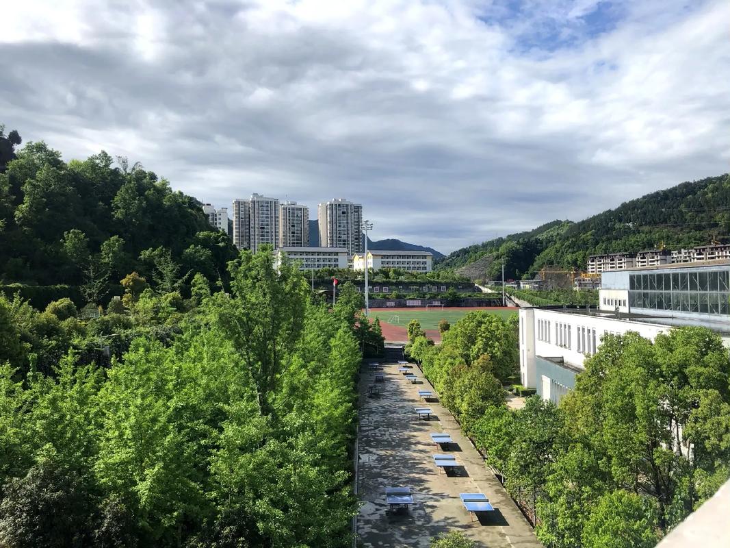 四川南江中学?四川南江中学曾五洲的背景资料?-第5张图片-职教招生网 四川南江中学?四川南江中学曾五洲的背景资料?-第5张图片-职教招生网