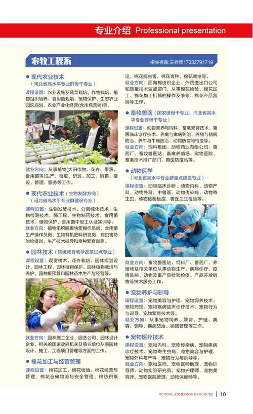 沧州职业技术学院空乘学费,沧州职业技术学院空乘专业学费-第6张图片-职教招生网 沧州职业技术学院空乘学费,沧州职业技术学院空乘专业学费-第6张图片-职教招生网