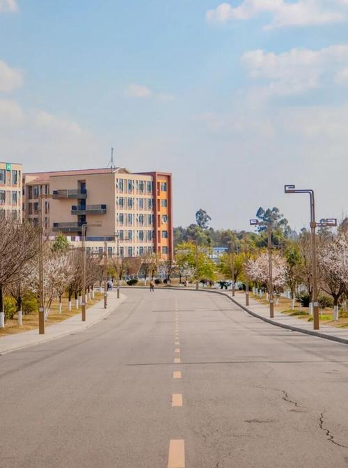四川城市学院是民办还是公办，四川城市学院怎么样?？-第5张图片-职教招生网