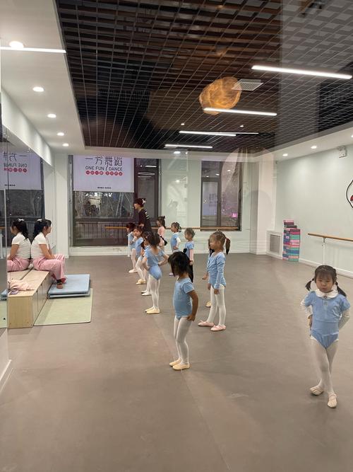 岳阳市舞蹈学校排名榜,岳阳市舞蹈学校排名榜最新-第3张图片-职教招生网 岳阳市舞蹈学校排名榜,岳阳市舞蹈学校排名榜最新-第3张图片-职教招生网