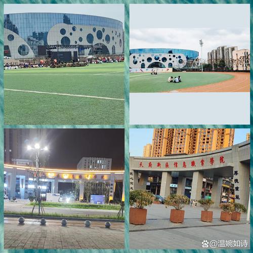 天府新区内的职业学校，天府新区内的职业学校有哪些？-第1张图片-职教招生网