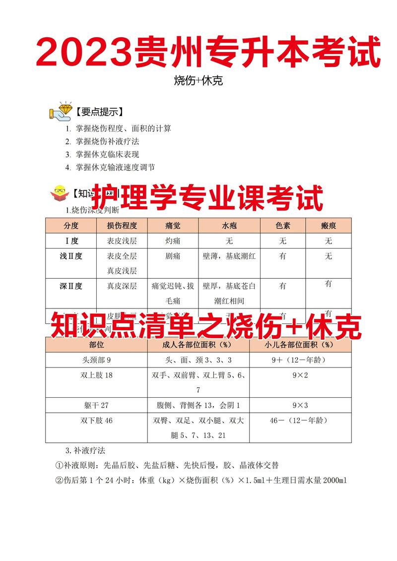护理学专业课程,护理学专业课程名称-第4张图片-职教招生网 护理学专业课程,护理学专业课程名称-第4张图片-职教招生网