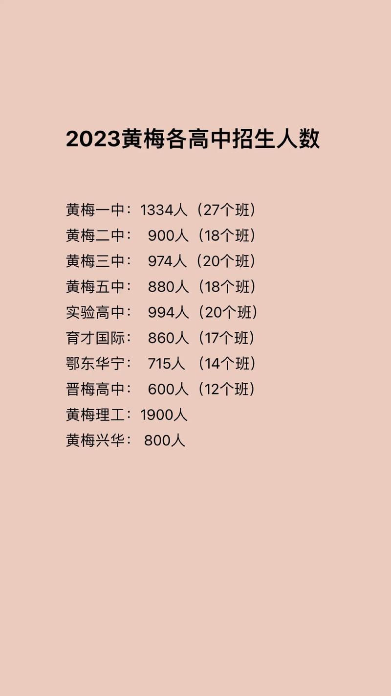 黄梅职业技术学校，黄梅职业技术培训学校-第6张图片-职教招生网