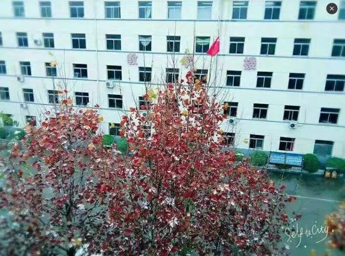 华中交通技工学校好不好,华中交通技工学校好不好就业-第2张图片-职教招生网 华中交通技工学校好不好,华中交通技工学校好不好就业-第2张图片-职教招生网