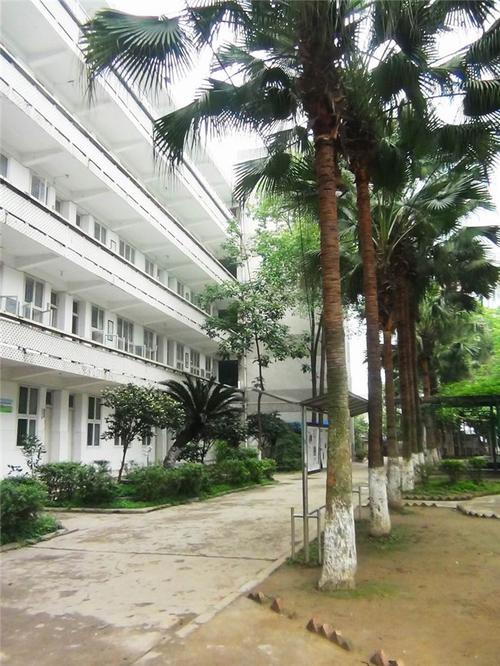 泸州市鹏程中等职业学校怎么样,泸州鹏程技术学校?-第1张图片-职教招生网 泸州市鹏程中等职业学校怎么样,泸州鹏程技术学校?-第1张图片-职教招生网