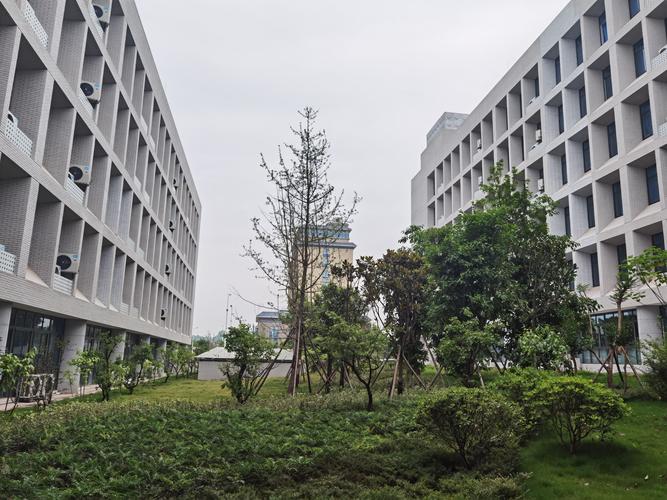 四川省卫生学校是什么学校,四川省卫生学校改名成什么了-第4张图片-职教招生网 四川省卫生学校是什么学校,四川省卫生学校改名成什么了-第4张图片-职教招生网