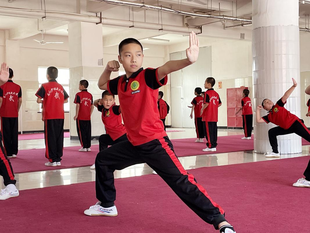 武校是什么学校?武校是什么学校??-第3张图片-职教招生网 武校是什么学校?武校是什么学校??-第3张图片-职教招生网