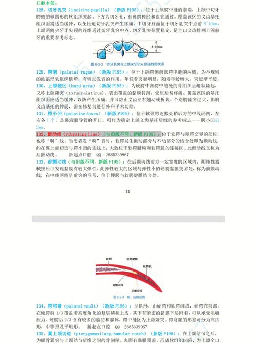 口腔修复工艺是什么专业?囗腔修复工艺专业?-第7张图片-职教招生网 口腔修复工艺是什么专业?囗腔修复工艺专业?-第7张图片-职教招生网